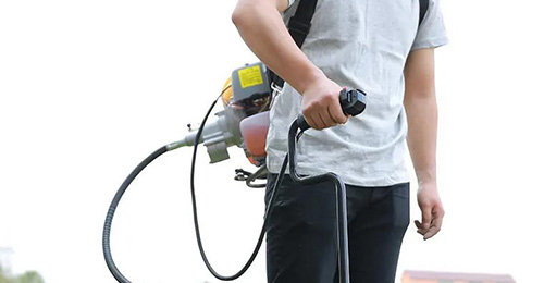 ��θ��ݵ��������ѡ����ʵĲɲ����